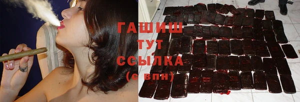 шишки Каменка