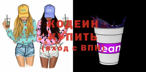 шишки Каменка