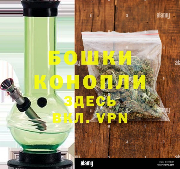 шишки Каменка