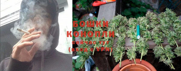 шишки Каменка