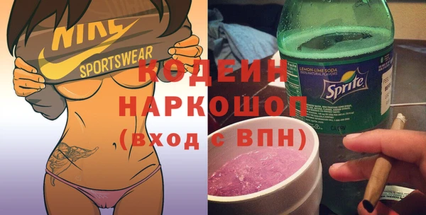 шишки Каменка