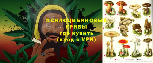 a pvp Каменногорск