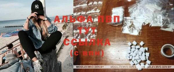 шишки Каменка