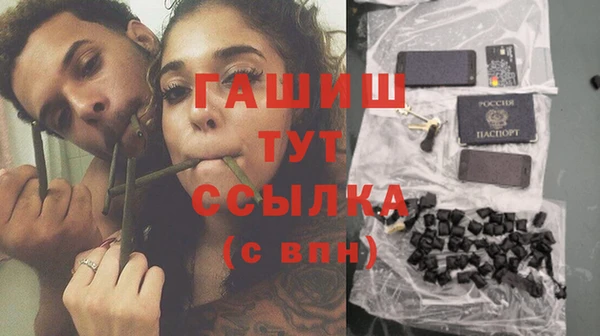 шишки Каменка