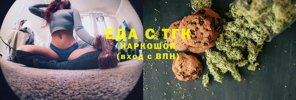 шишки Каменка