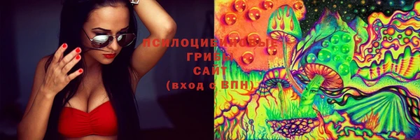 шишки Каменка