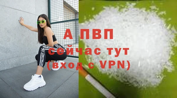 шишки Каменка