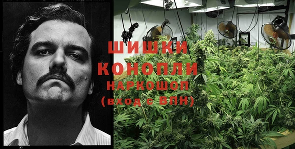 a pvp Каменногорск