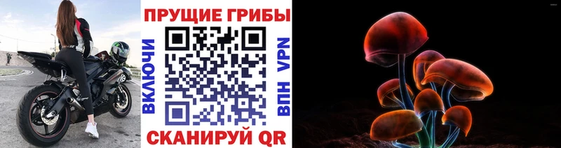 Галлюциногенные грибы ЛСД  Купить где  Бежецк 